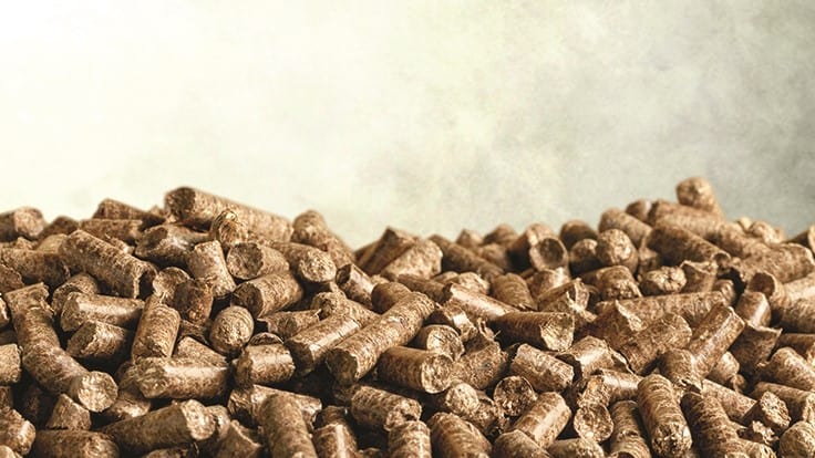 How Red Rock Biofuels aims to turn woody biomass waste into renewable jet fuel