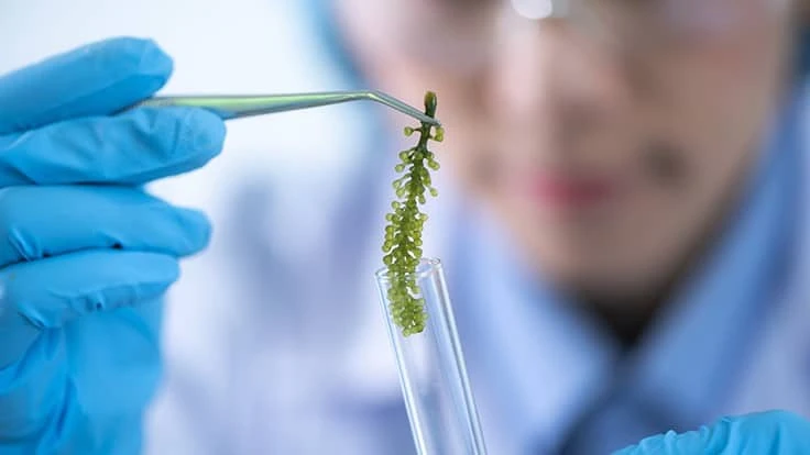 Adobe Stock | © chokniti