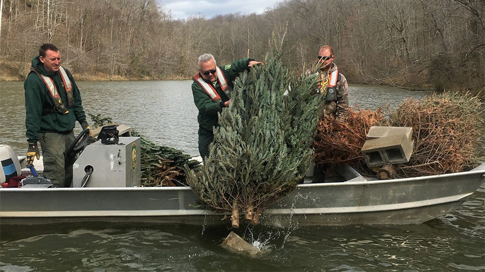 Ohio park finds innovative use for discarded Christmas trees